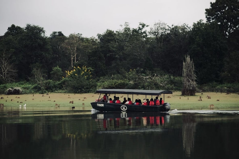 DA86125E-AA78-4D82-BD9A-AFCB16D63410