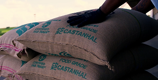 Captura de tela 2025-04-08 102234.png