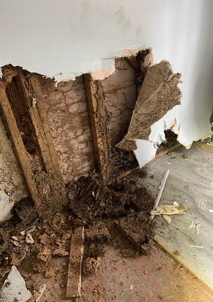 Damaged wall with exposed, decayed wood studs and debris