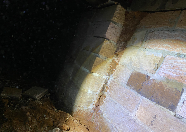Dark brick corner under inspection for bedbugs