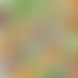 Ugly Foods: Finding Beauty in Imperfection on World Food Day