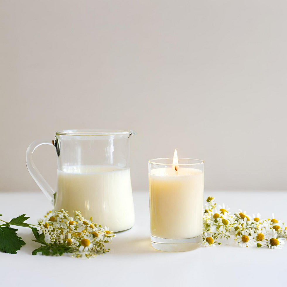 A lit white candle, A glass jug of milk, chamomile flowers in preparation for the Imbolc Milk Ritual
