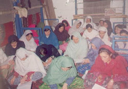Barani Area Development Project (BADP) Benefit Monitoring and Evaluation