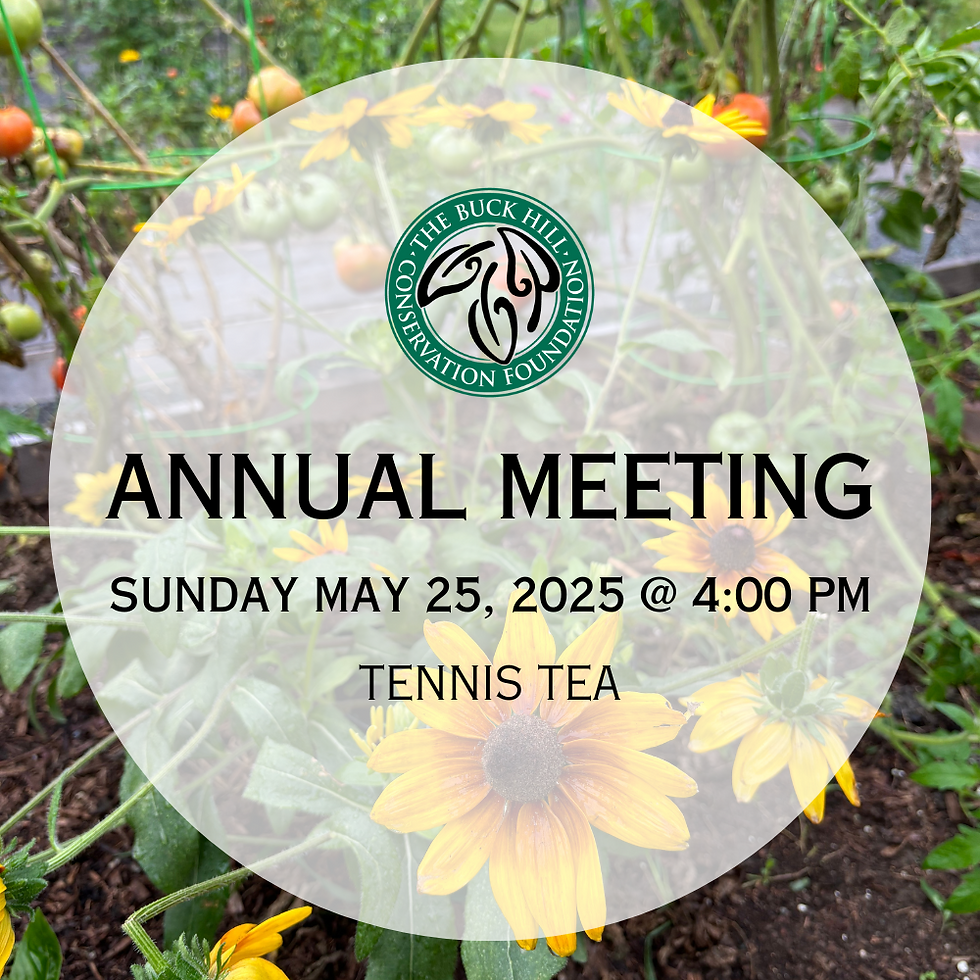 Annual Meeting