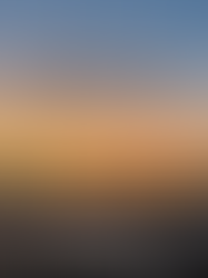 FemmeVision Documentary Poster