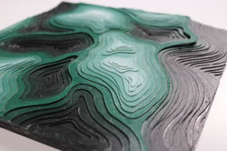 Topographical Study