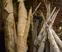 Anthropologie Birch Tree Display
