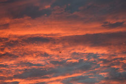 California Sunset
