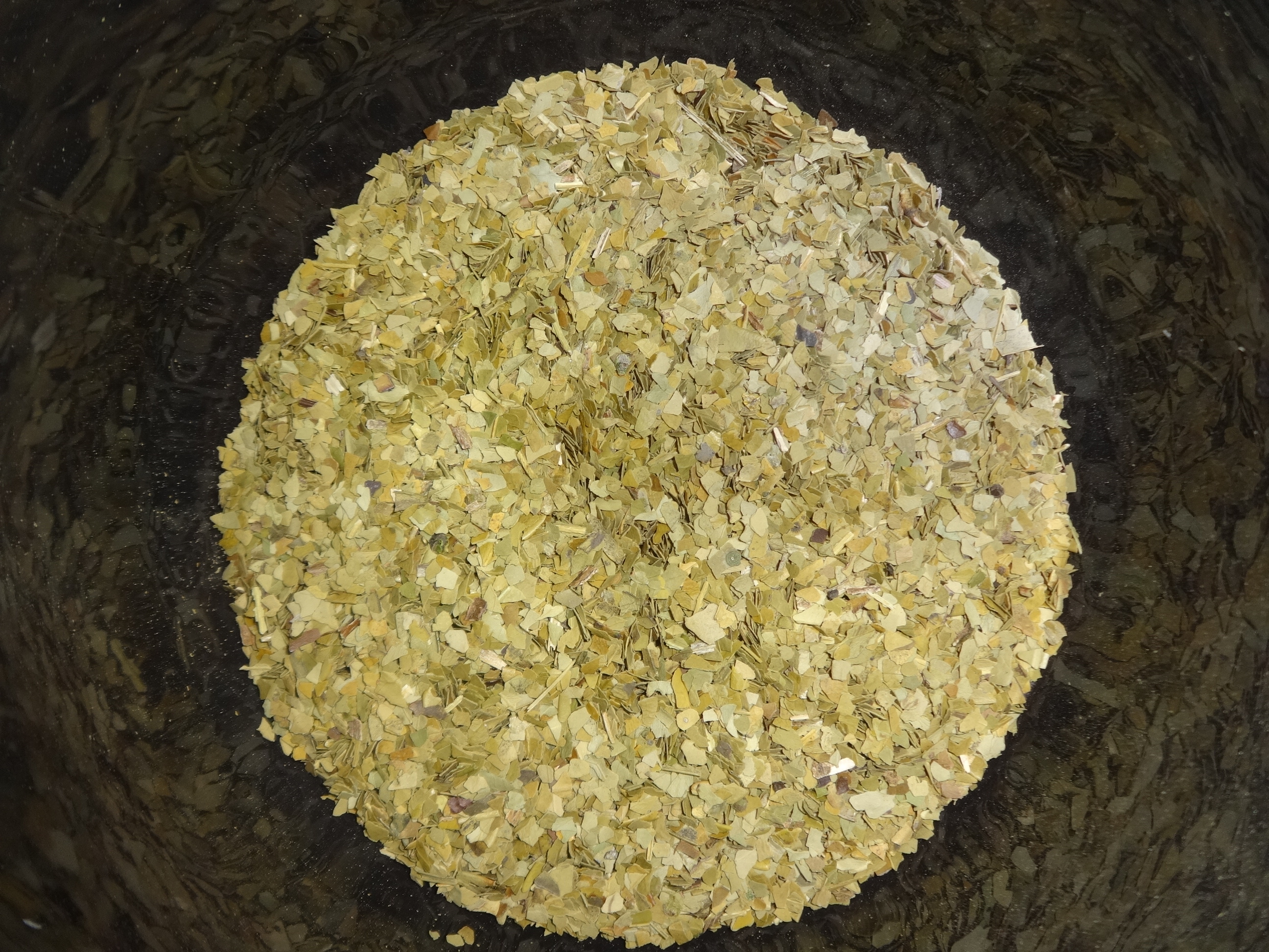 Yerba Mate