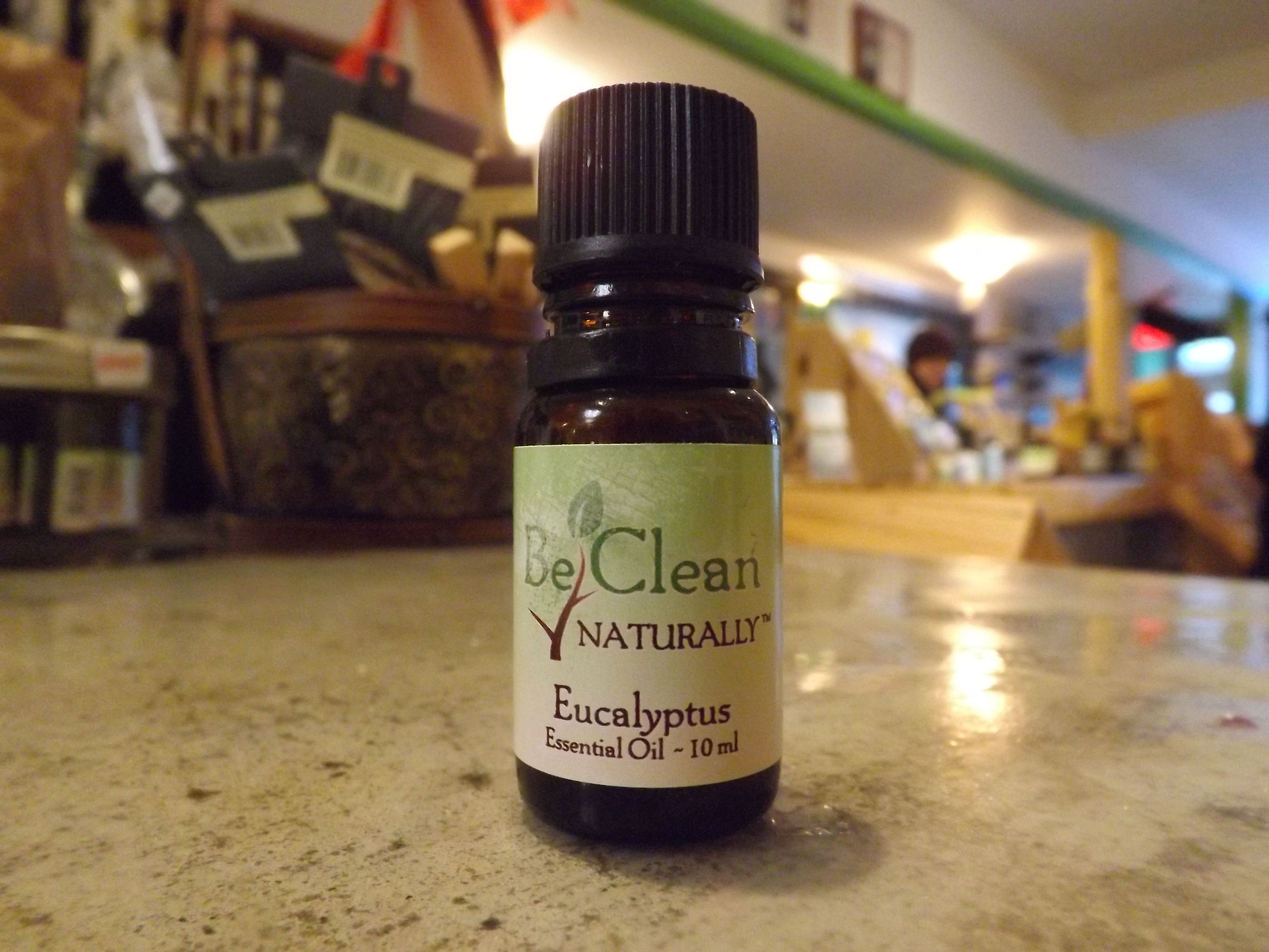 Eucalyptus Radiata Essential Oil - 10mL