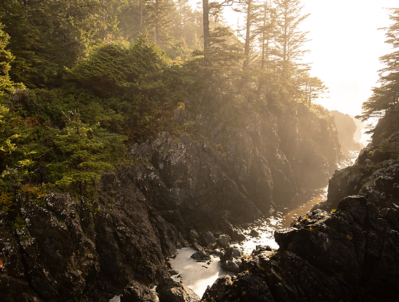 Your paragraph text - 2025-11-08T012616.863.png