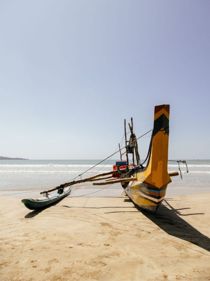 Sri Lanka Seasons: A Year-Round Travel Experience on a Tropical Island