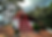 almora-kasar-devi-temple-22.png