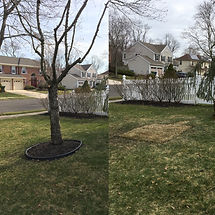 Marlton Tree Service