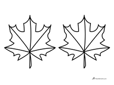 Outline of 2 maple leaves coloring page