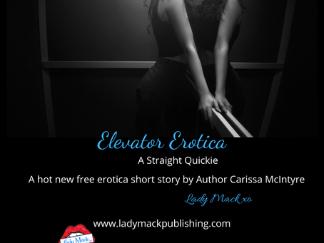 Elevator Erotica - NSFW 18+
