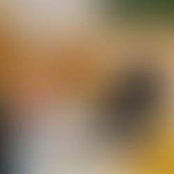 Educating the Next Generation: Integrating AI Safety Standards into STEM Curriculum