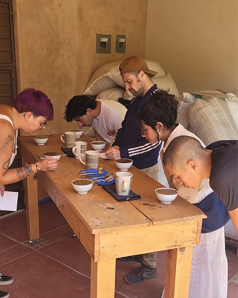 post4.6_Mesa de trabajo 1 copia 4.jpg