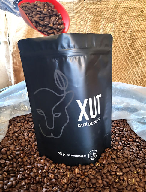 Xut