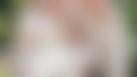 Todos los pontífices juntos.