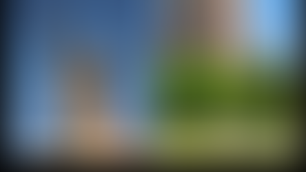 El nombre del "Papa Viajero": la omnipresencia urbana y la sombra de la impunidad