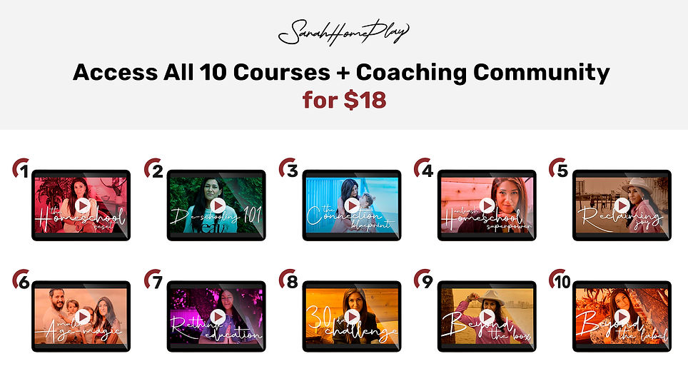 sarah-courses copy.jpg
