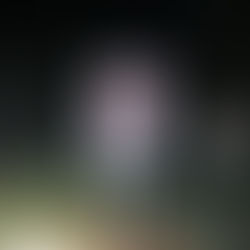 Ormanın Sahipleriyle Karşılaşmak: Vahşi Hayvanlardan Korunma Rehberi