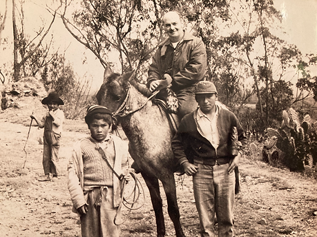 horse_kids.png