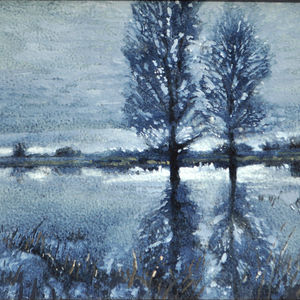 Two Trees on a Flood Plane