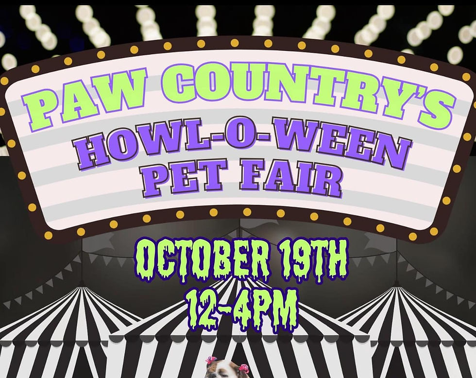 Paw Country's Howl-O-Ween Pet Fair