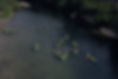 canoe-kayak-8-14-ans-gard_edited_edited.jpg