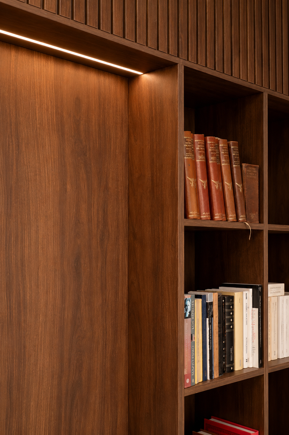 Palno detalle derecho