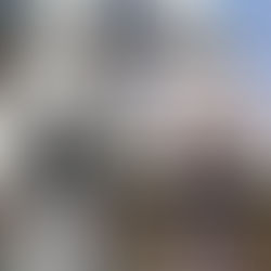 The Emptying of the Plain: The Comanche and Kalmyk Nomads in the Shadow of Empire