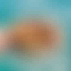 Coconut crusted Fish fingers with chipotle sauce