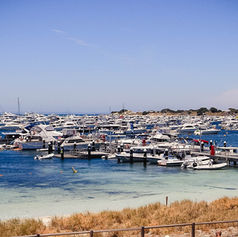 The science behind a little poo poo- A Ecotoxicologist explains