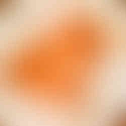 Red lentils ready to sprout in the galley