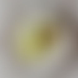 Avo love you long time