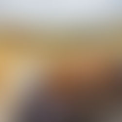 The Original Seaside Sourdough