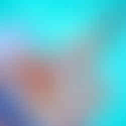 breakfast muesli bowl