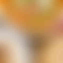 Butter no chicken and rice Indian food