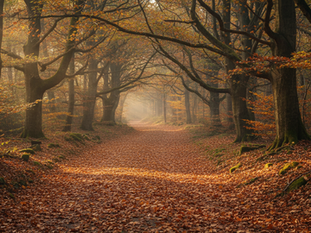 Autumn Grounding Rituals for Healing and Renewal