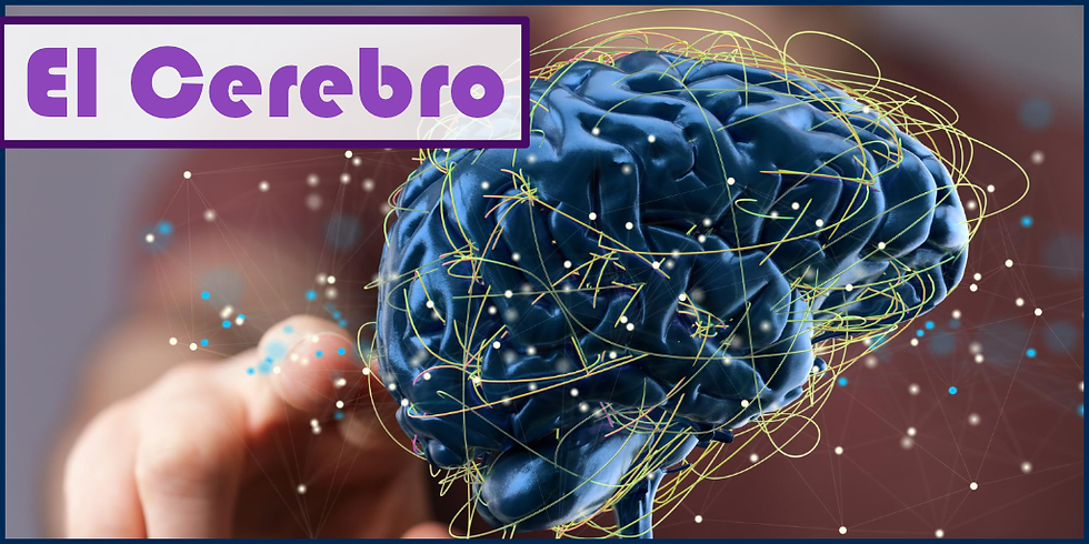El Cerebro