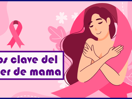 Datos clave del cáncer de mama