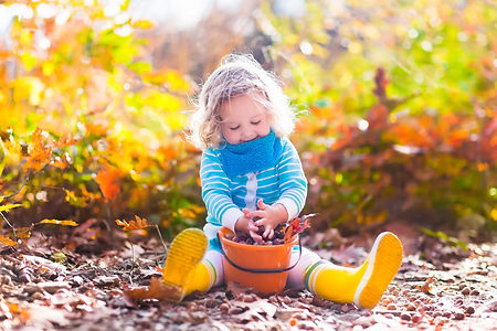 Girl holding acorn and colorful leaf in autumn park. Child picking acorns in a bucket in fall forest