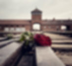 Red rose on railway tracks in front of a historic brick building under a cloudy sky, evoking a somber and poignant mood.