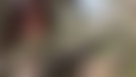 Woman examines olive branch with dark olives in a sunlit grove; focused expression, soft natural light, background blurred.