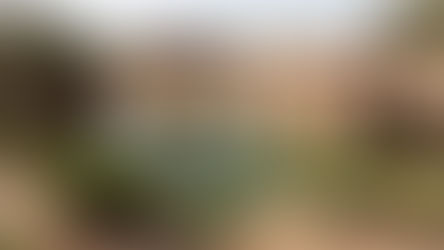 Small pool, surrounded by shrubs and soil, with wooden structures and stairs in the background under a clear sky. Peaceful atmosphere.