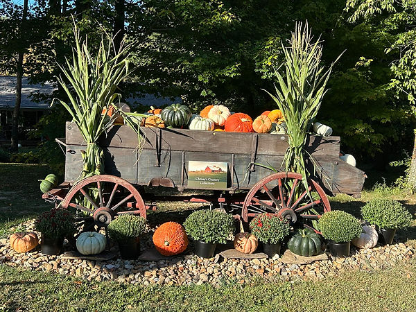 Decorative wagon including decor and custom designs