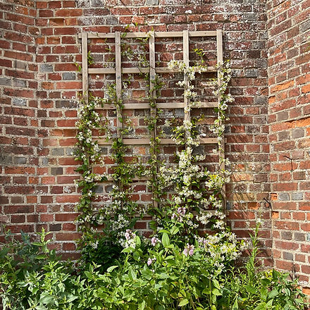 GPS sq LG TRELLACE 1080px.jpg