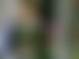 Florist getting flowers from the cooler